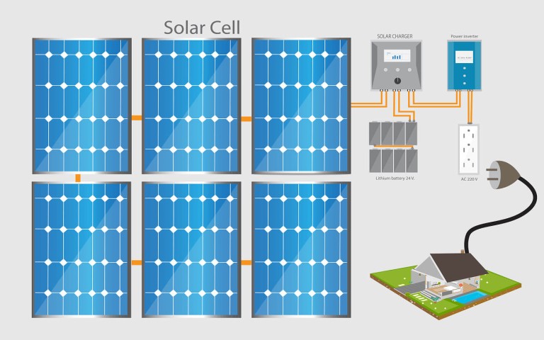 �л��轺ճ��